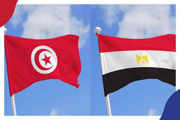 السيسي يؤكد دعم مصر لانقلاب قيس سعيد  ويعرض المساعدة